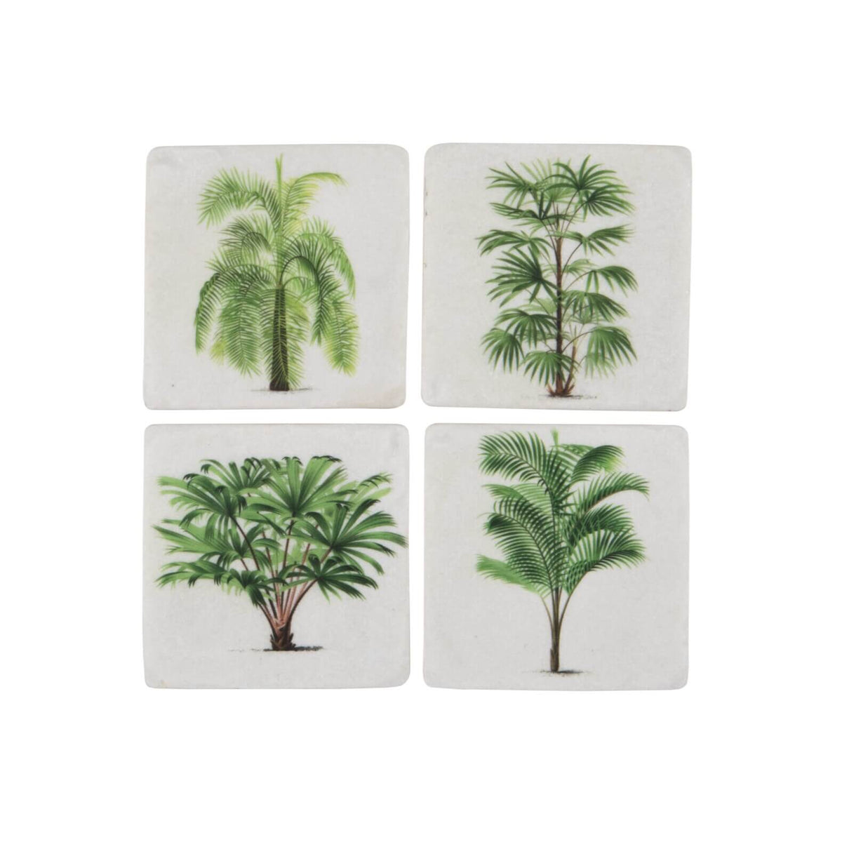 Botanical Palm Tree Coaster Set