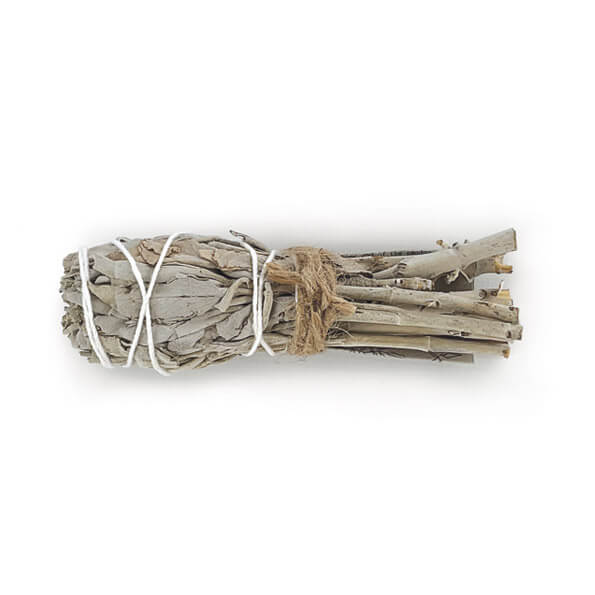 Natural White Sage Smudge Bulb Shape