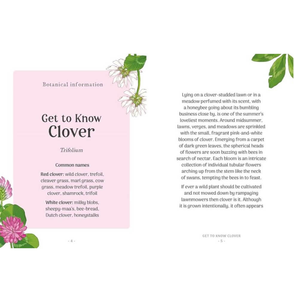 Clover - The Little Wild Library