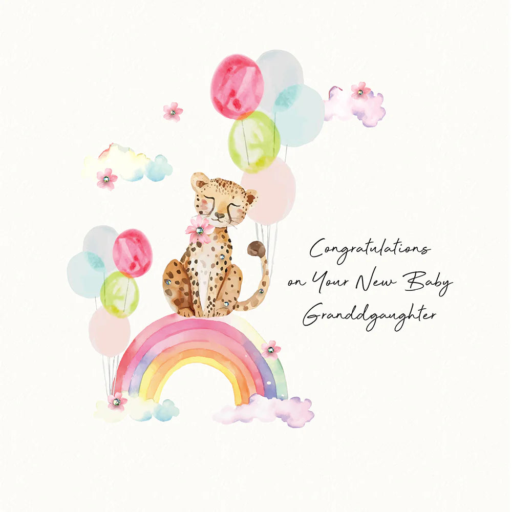 New Baby Granddaughter - Five Dollar Card BF101