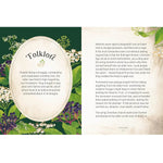 Elder Tree - The Little Wild Library