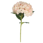 Faux Blush Pink Giant Hydrangea Stem by Gisela Graham