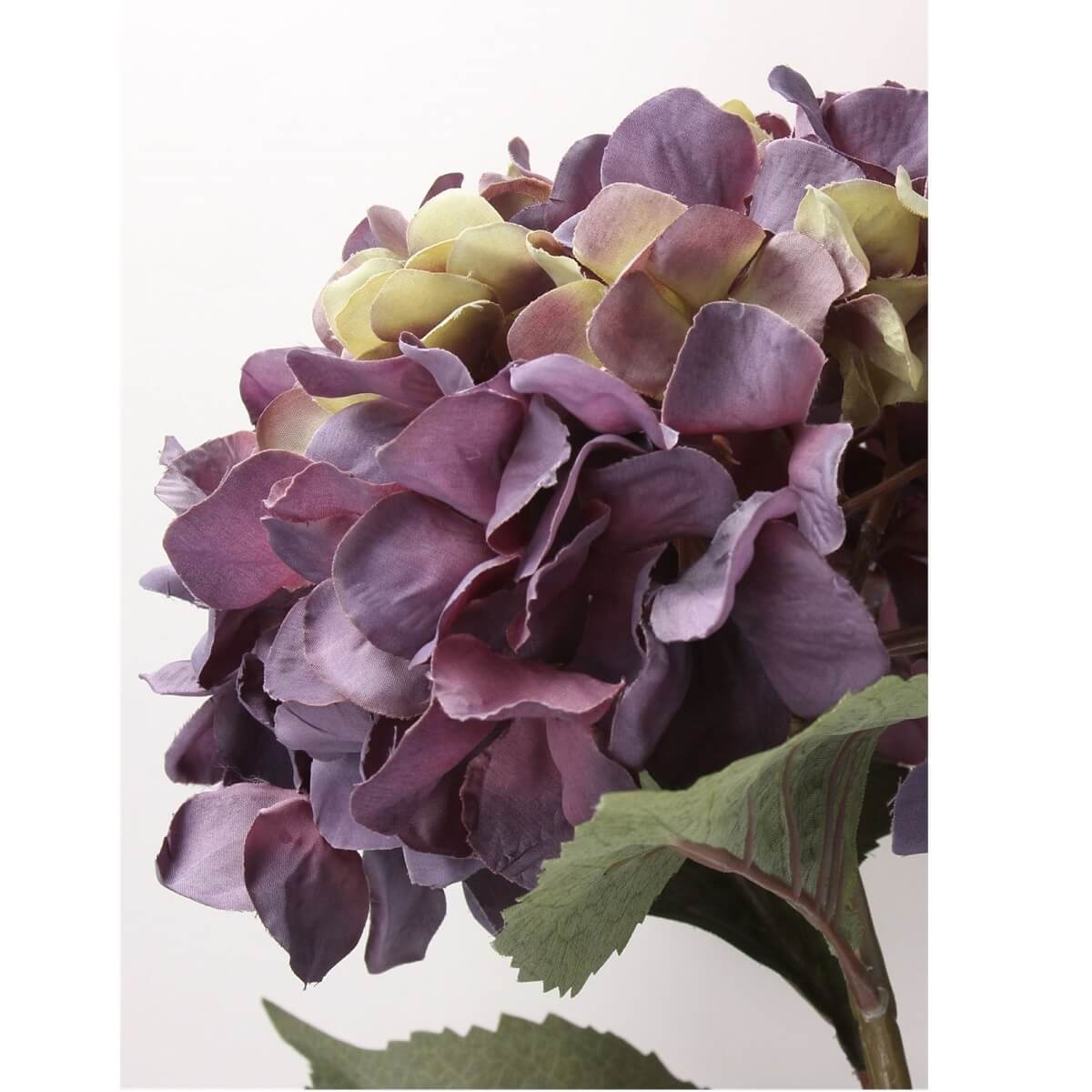 Antique Purple Giant Hydrangea Stem L83cm