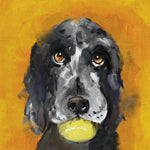 Hounds Harold The Dog Greeting Card to buy in Southend at Under the Sun shop
