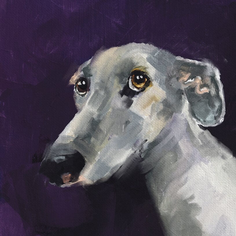 Hounds Walter The Dog Greeting Card
