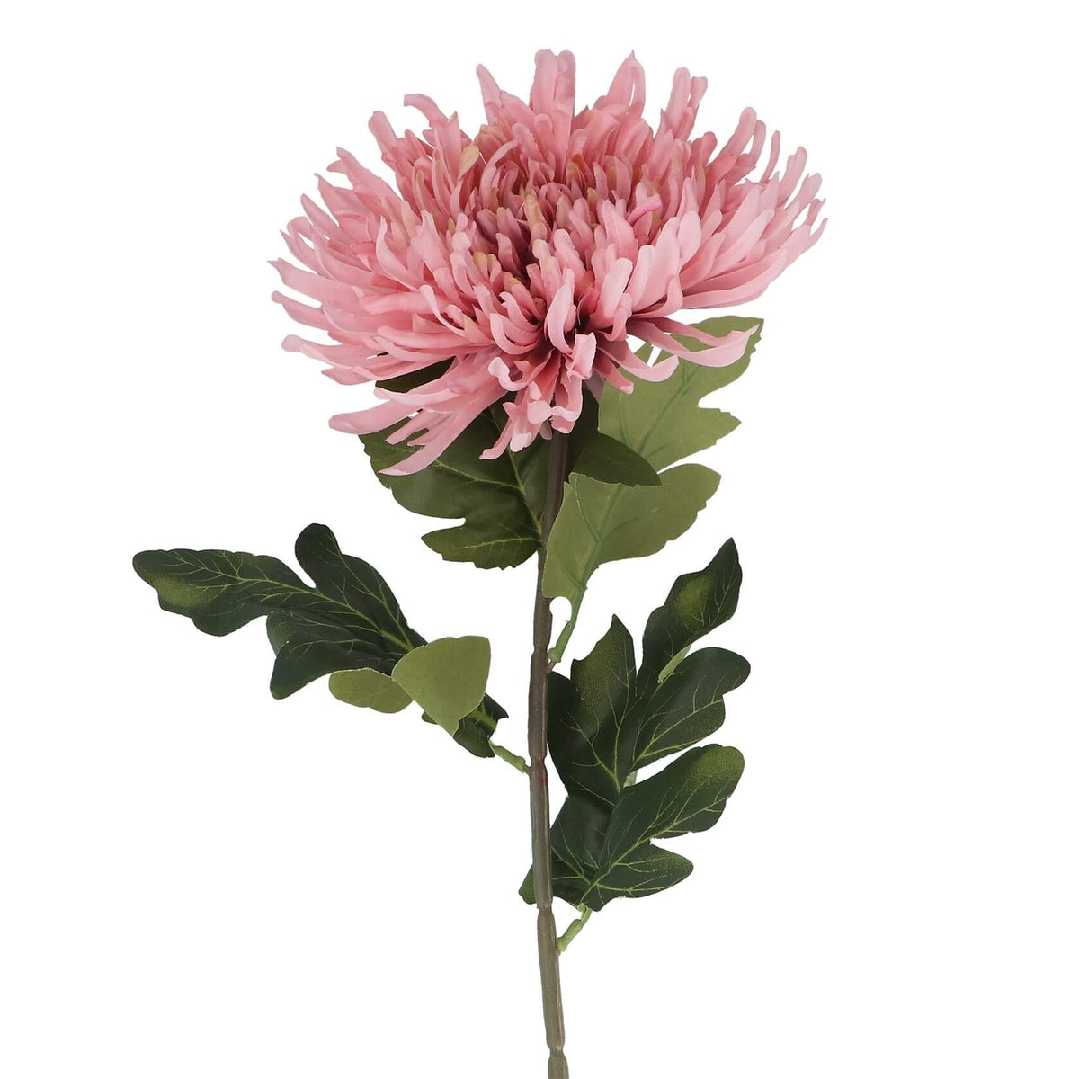 Artificial Pink Giant ChrysanthemumFlower Stem with green leaves by Gisela Graham
