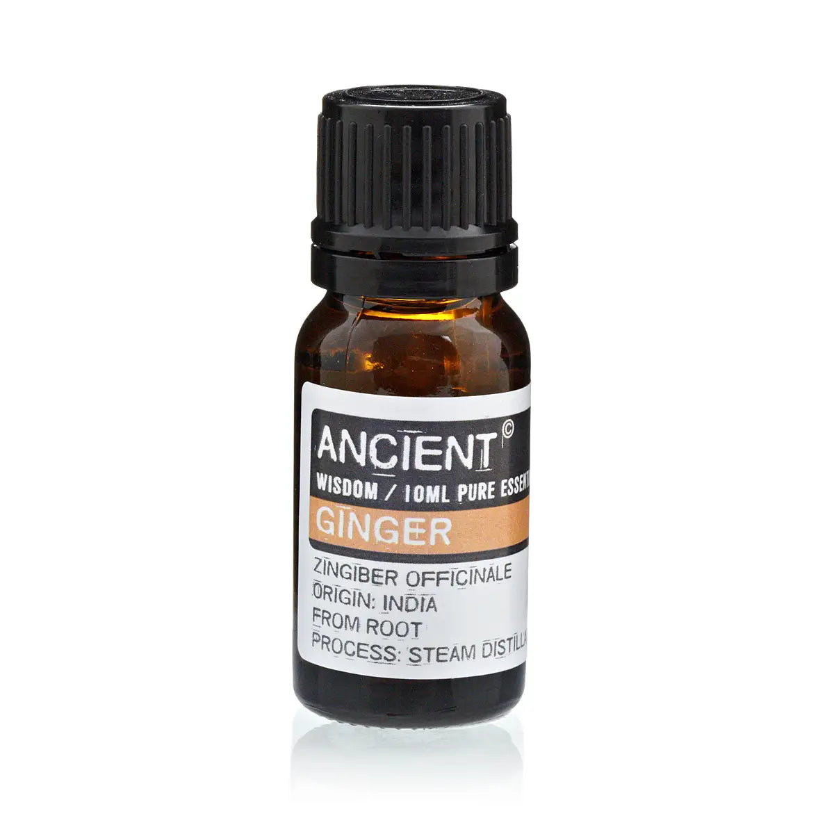 Ginger Essential Oil 10ml at Under the Sun aromatherapy in Southend