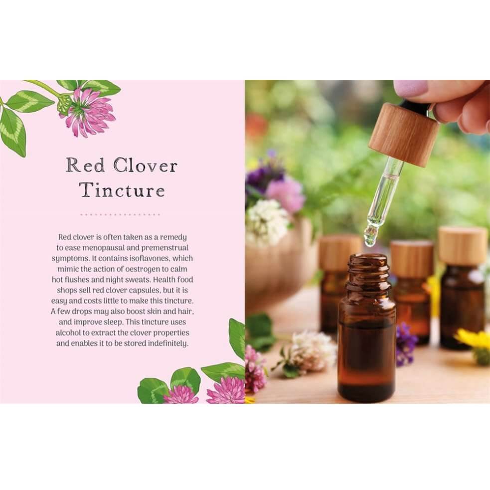 Clover - The Little Wild Library