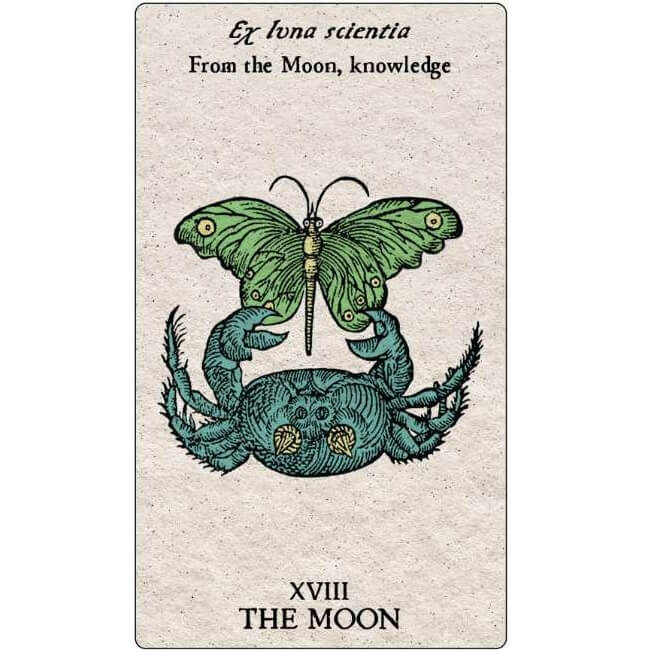 Tarot Emblemata -Decoding Magical Symbolism