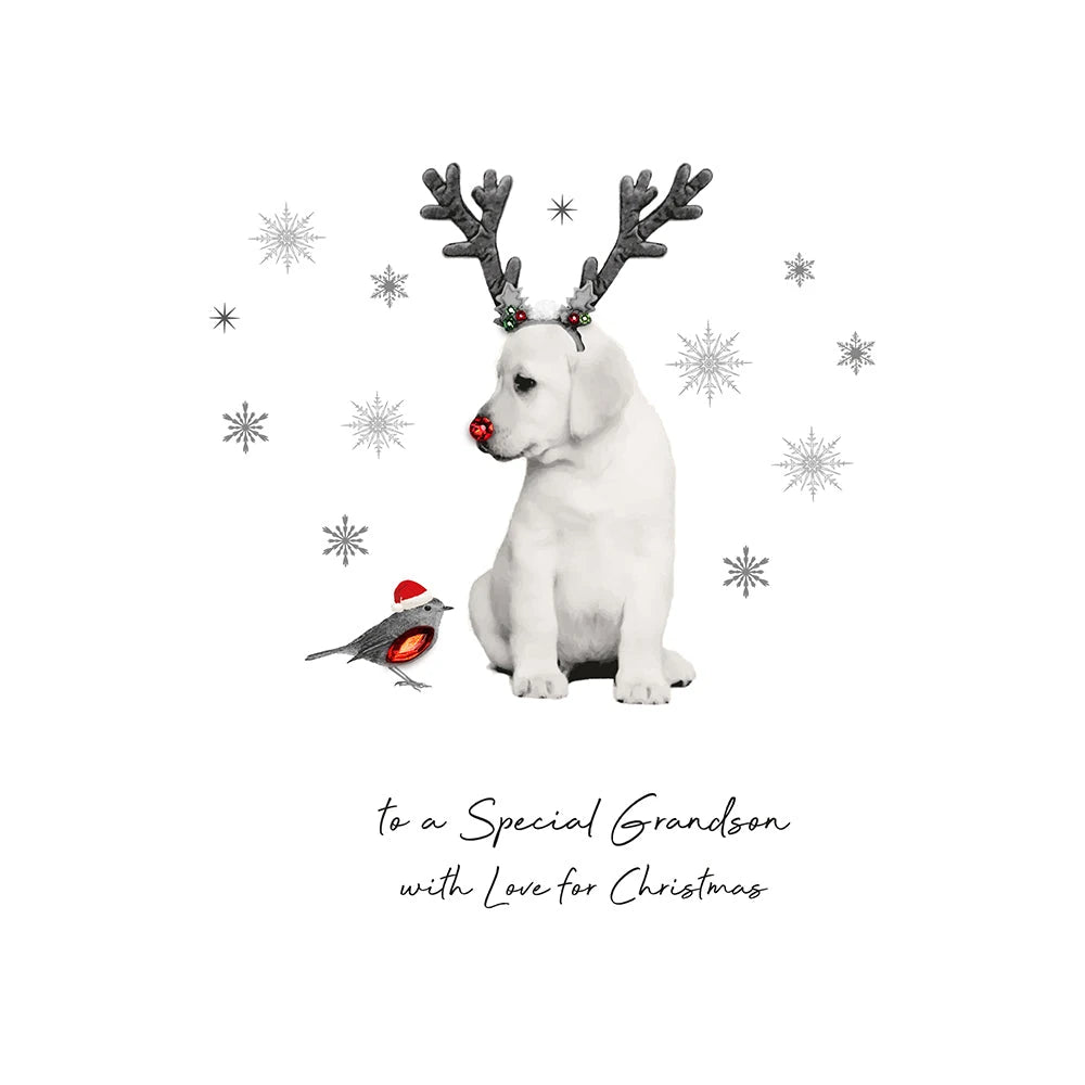 Five Dollar Shake greeting card, To a Special Grandson with Love for Christmas