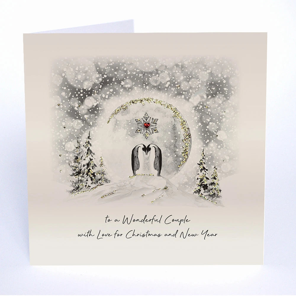 To A Wonderful Couple With Love For Christmas MS23