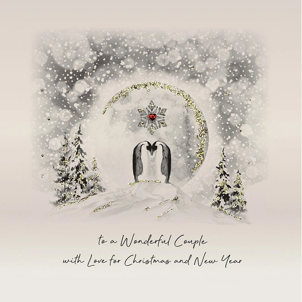 To A Wonderful Couple With Love For Christmas MS23