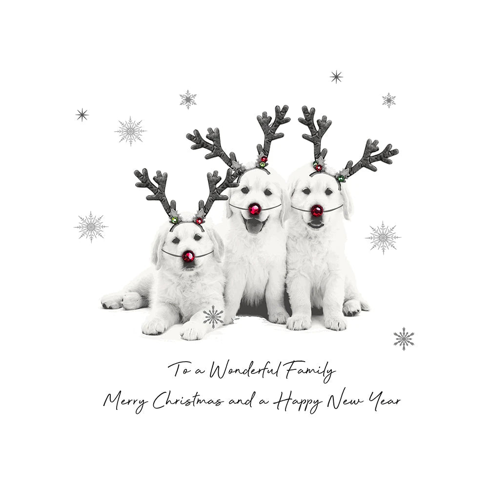 Five Dollar Shake christmas card To a Wonderful Family Merry Christmas and a Happy New Year