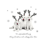Five Dollar Shake christmas card To a Wonderful Family Merry Christmas and a Happy New Year