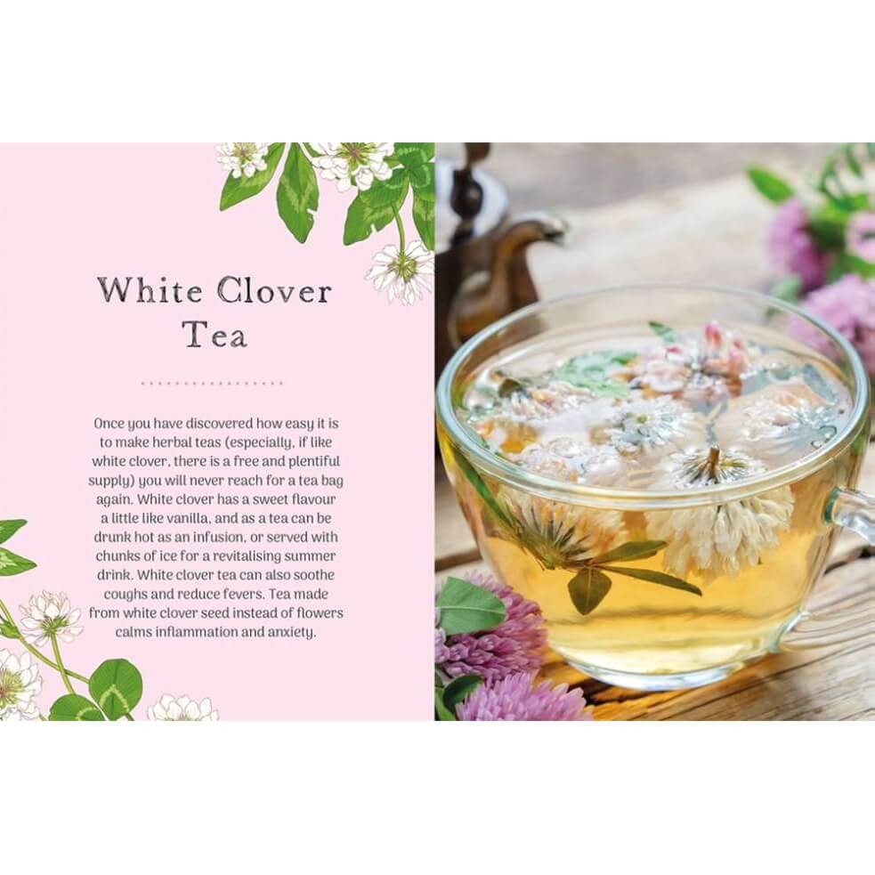 Clover - The Little Wild Library