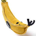 Barry the Banana Dog Toy | Green & Wilds