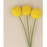 Bunch of 3 Yellow Billy Bob Flower Pick