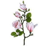 Pale Pink Magnolia Branch | Gisela Graham