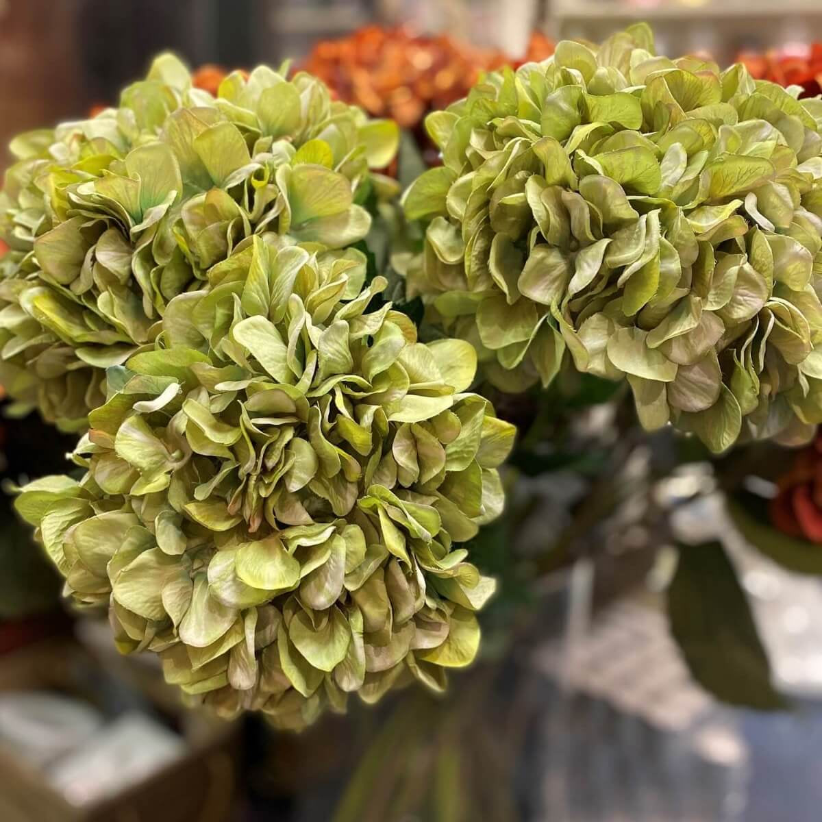 A bunch of giant artificial green hydrangea stems with flower heads