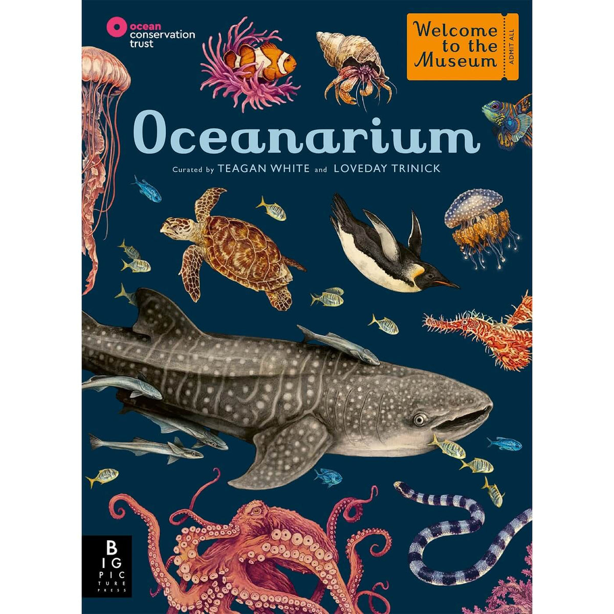 Oceanarium Large Illustrated Book
