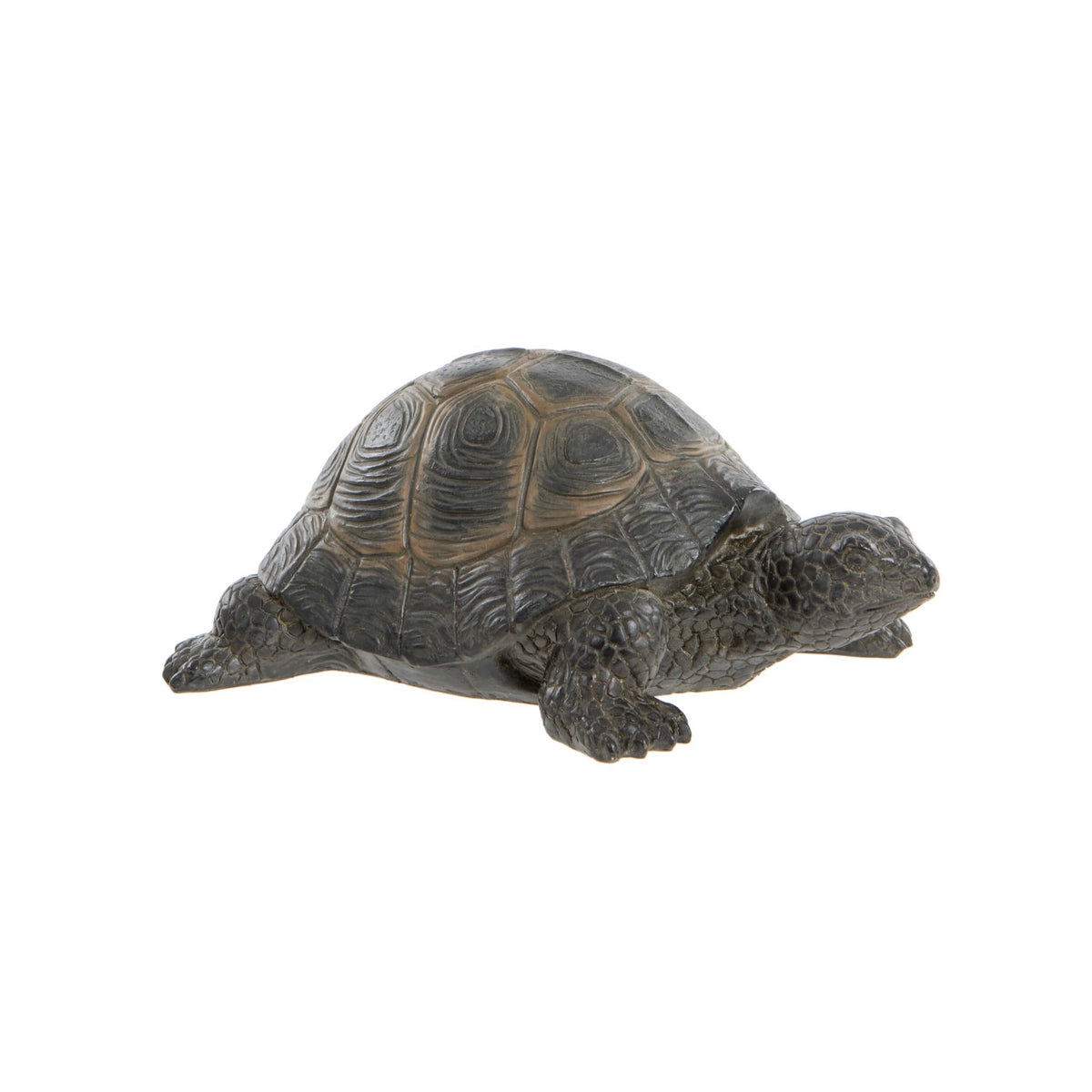 Small Tortoise Ornament Natural Colour