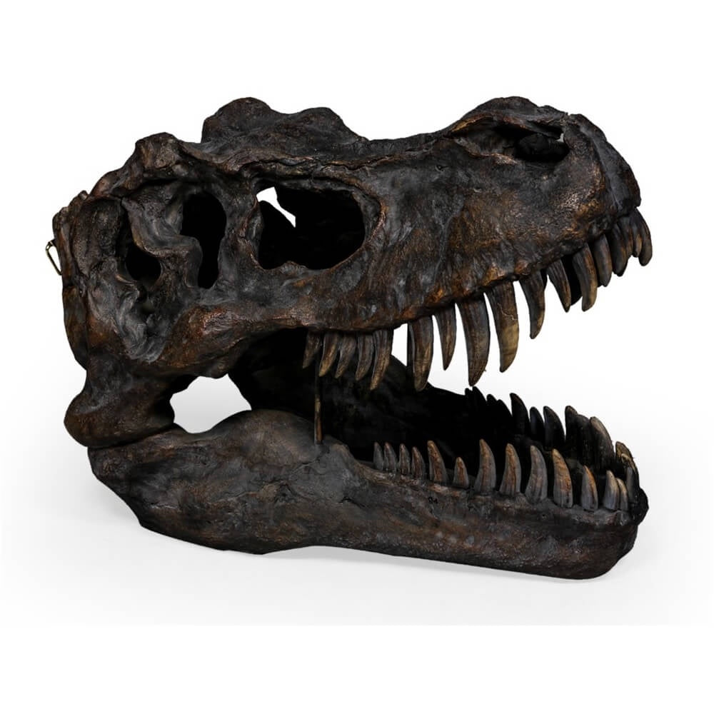 Extra Large T-Rex Skull Wall Head