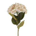 Giant Antique Cream Faux Hydrangea Flower Stem from Gisela Graham