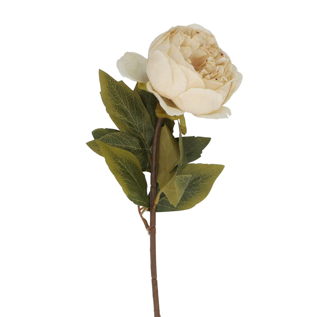 Antique Cream Faux Peony Stem with Green Leaves by Gisela Graham