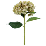 Antique green giant faux hydrangea stem by Gisela Graham