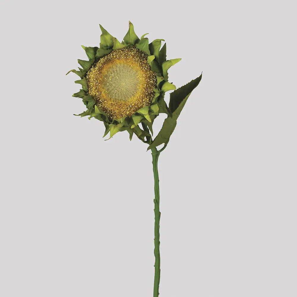 Dried Look Sunflower & Leaves