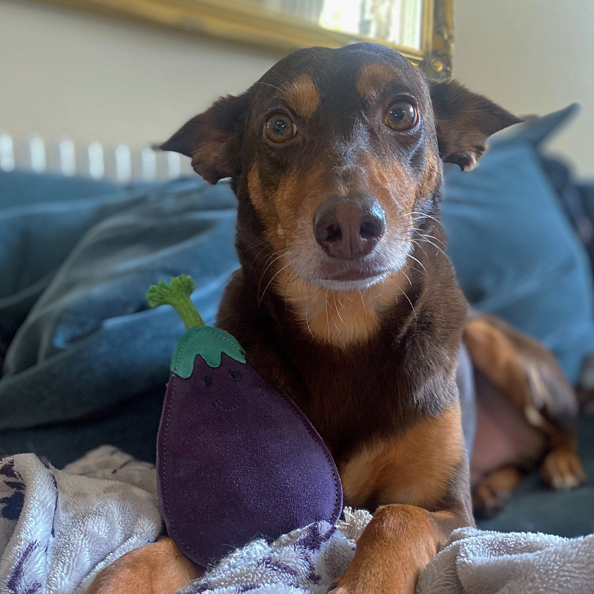 Green & Wilds Austin the Aubergine Eco Dog Toy