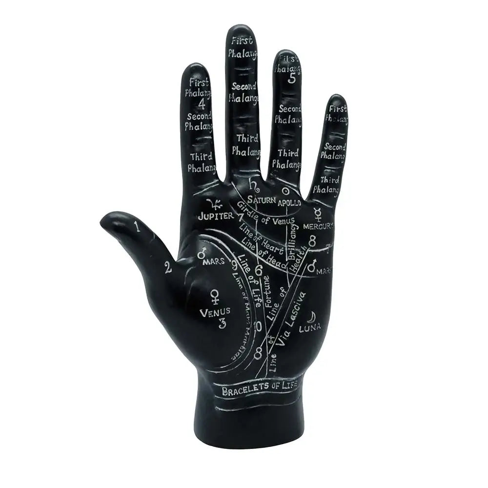 Black Palmistry Hand Ornament