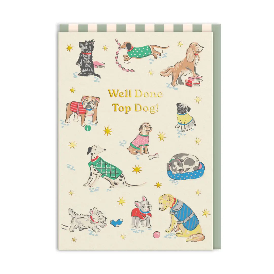 Buy Cath Kidston Top Dog Congratulations Card in Southend at card shop Under the Sun