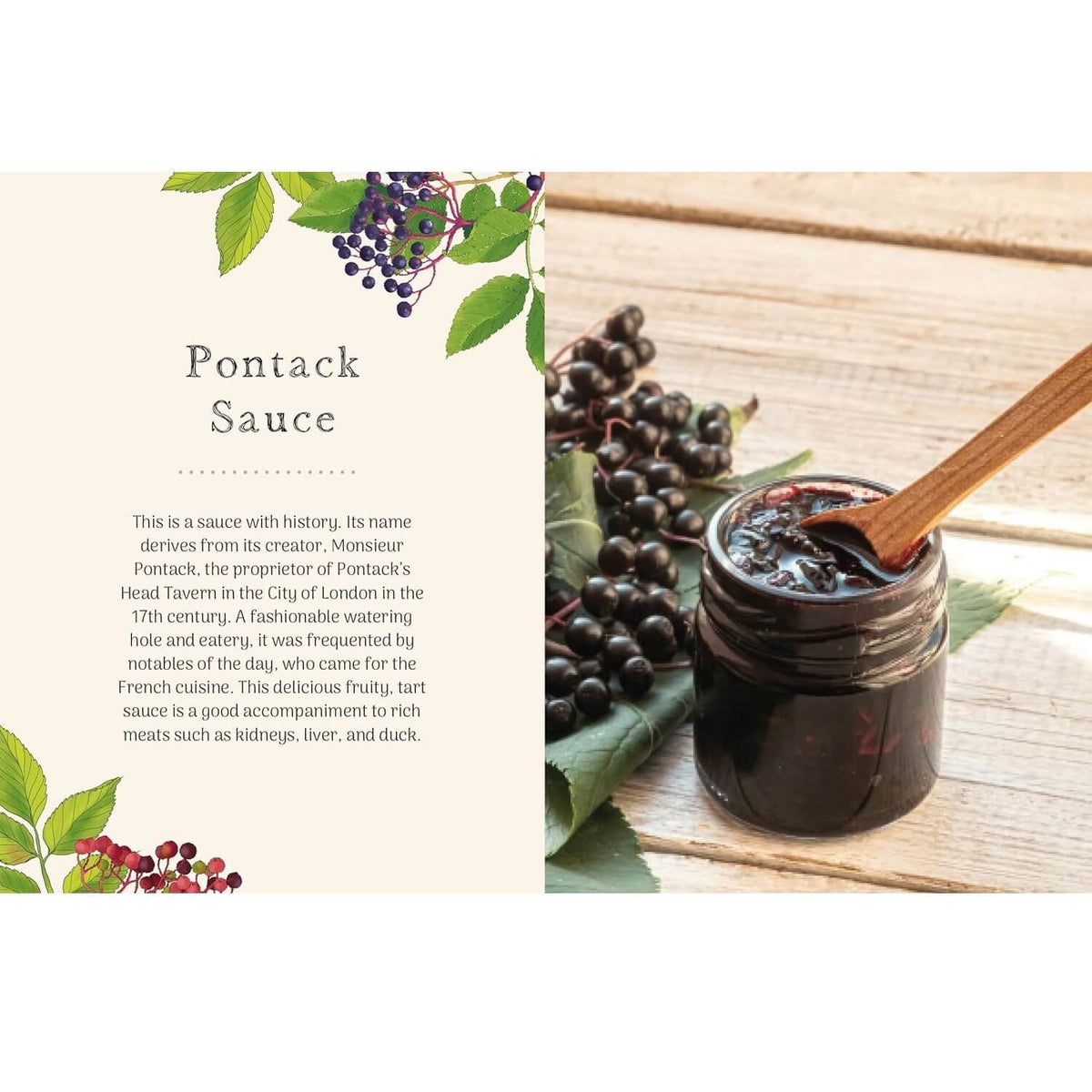 Elder Tree - The Little Wild Library