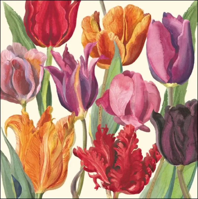 Buy Emma Bridgewater Tulips Open Greeting Card at Southend card shop Under the Sun