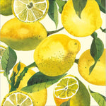 Emma Bridgewater Vibrant Lemons Blank Greeting Card