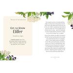 Elder Tree - The Little Wild Library