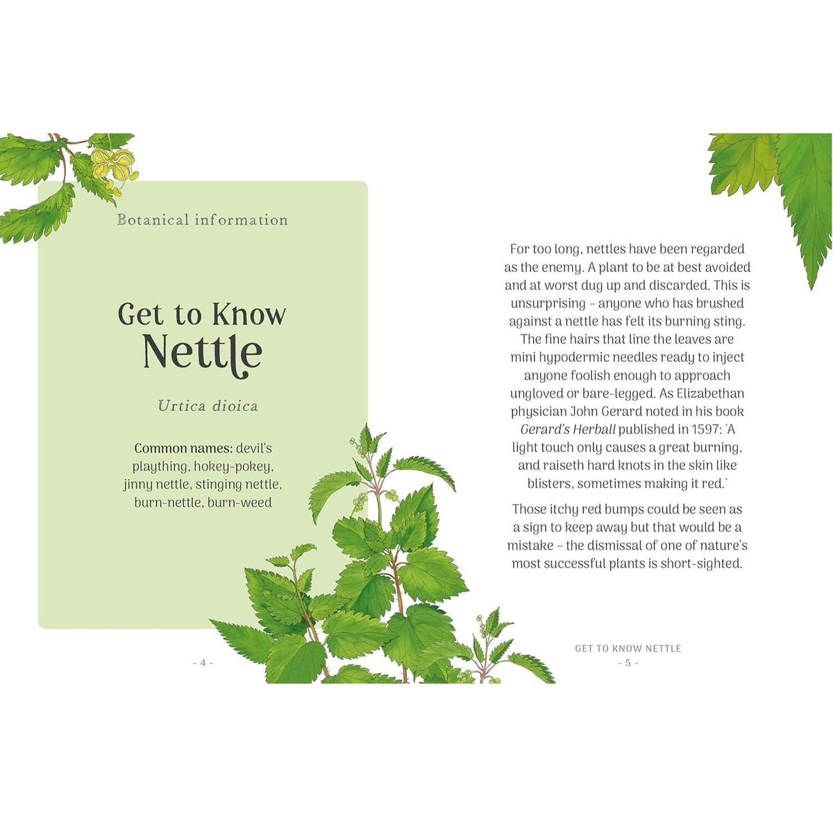 Nettle - The Little Wild Library