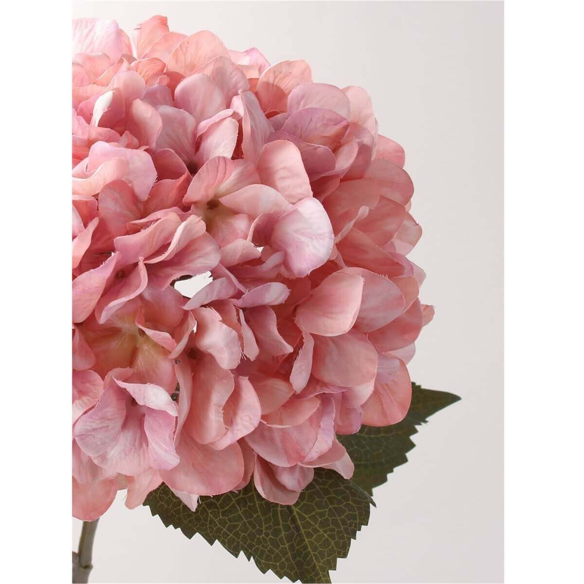 Antique Pink Giant Hydrangea Stem L83cm | Gisela Graham