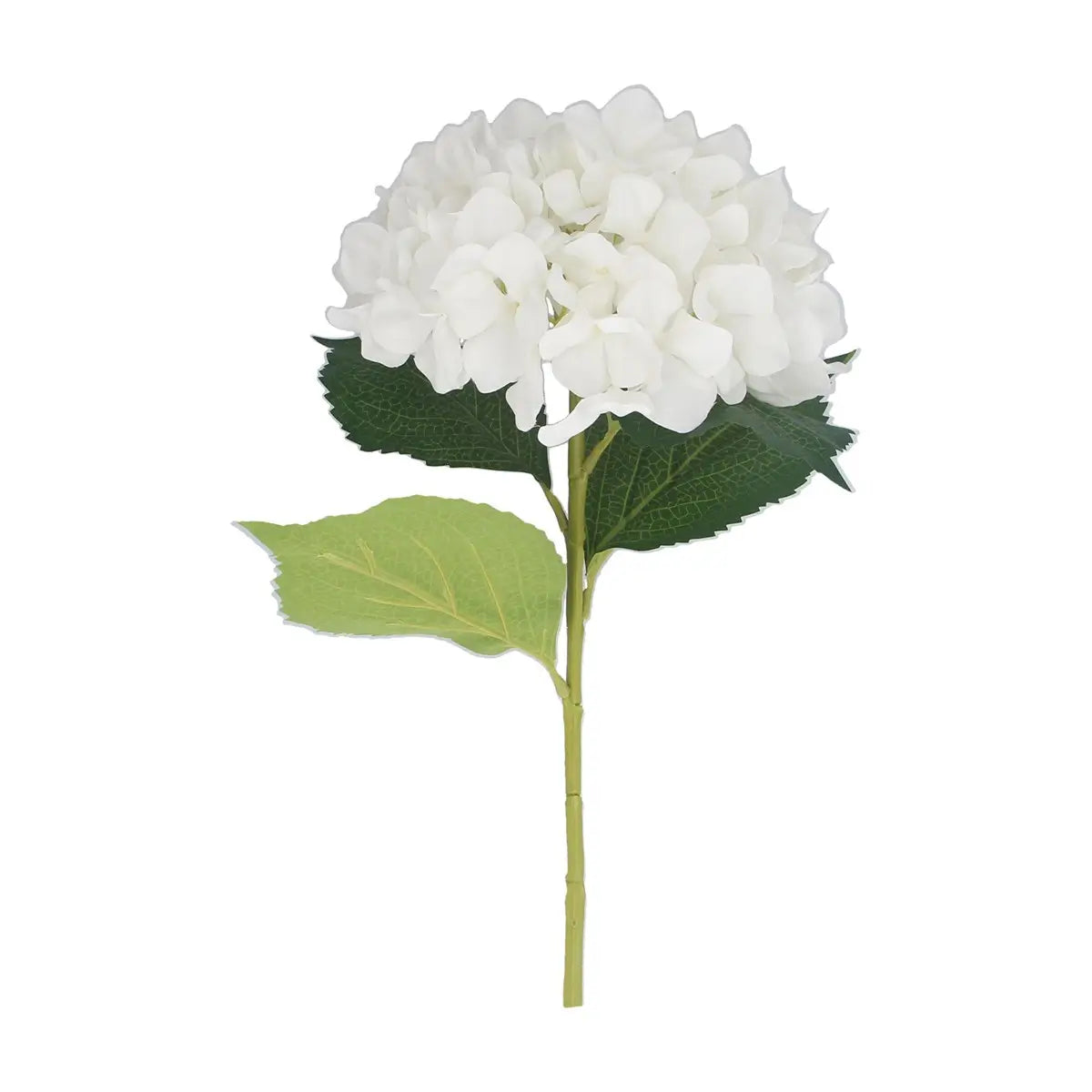 White Giant Hydrangea StemL83cm