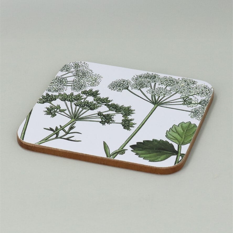 Spring Hedgerow Coasters Pack of 4
