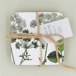 Spring Hedgerow Coasters Pack of 4