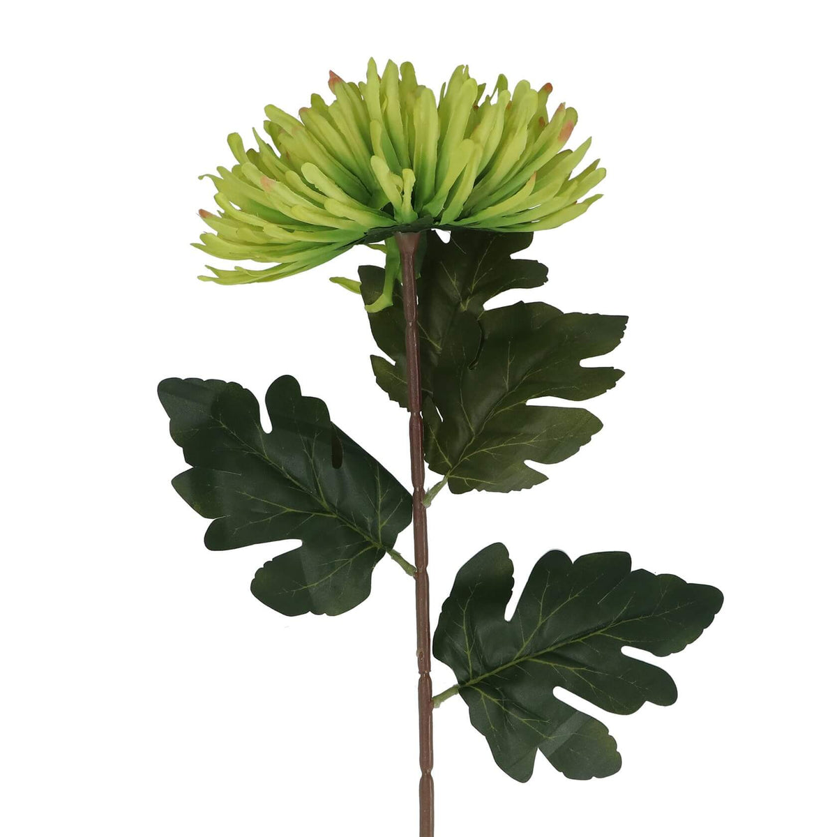 Giant Green Faux Chrysanthemum Flower Stem by Gisela Graham