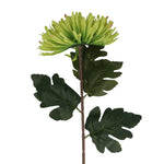 Giant Green Faux Chrysanthemum Flower Stem by Gisela Graham