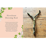 Hawthorn - The Little Wild Library