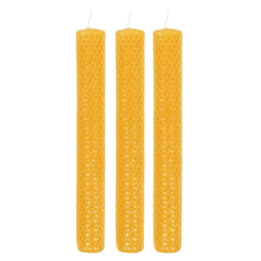 Shop natural beeswax dinner candle at Under the Sun Southend
