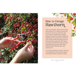 Hawthorn - The Little Wild Library