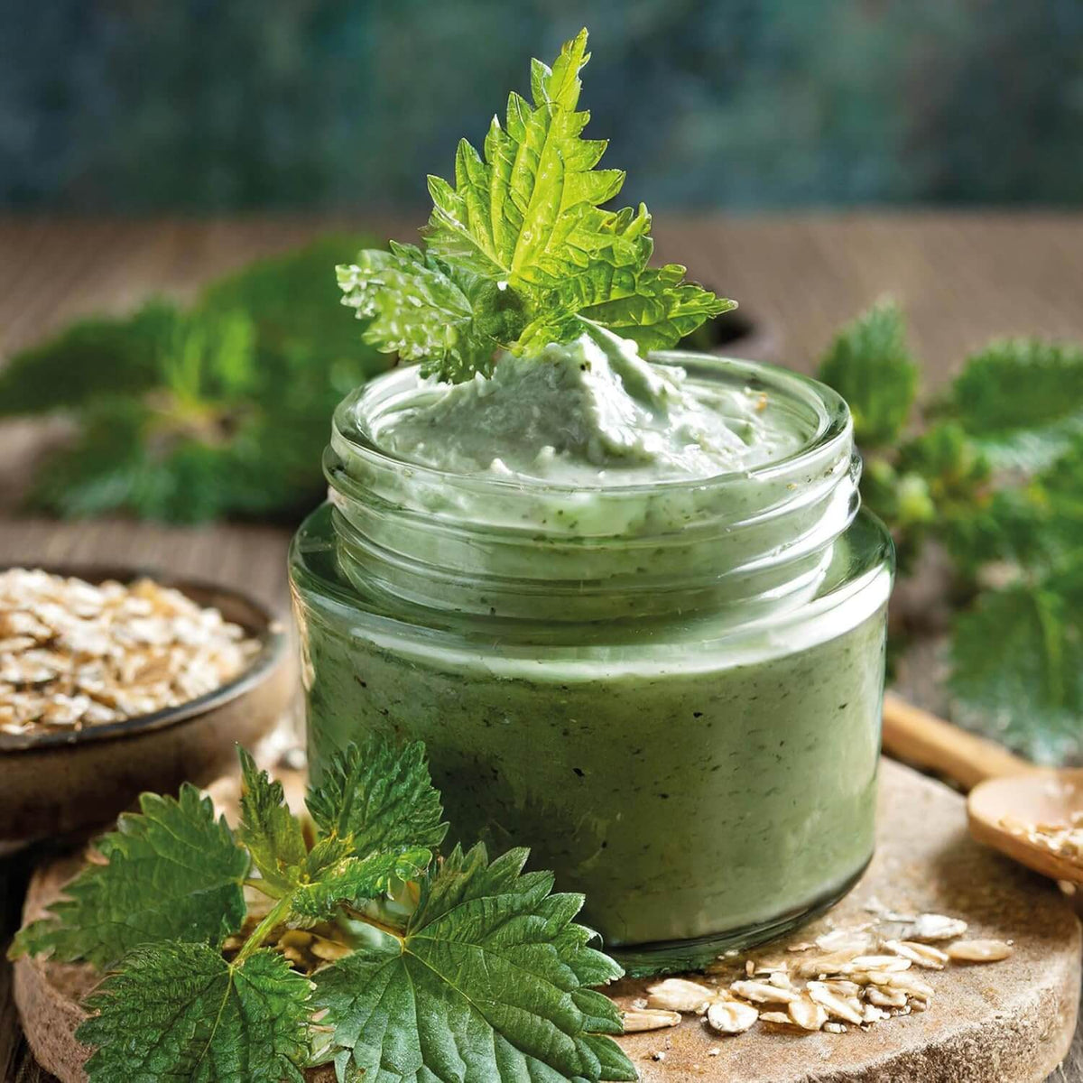 Nettle - The Little Wild Library