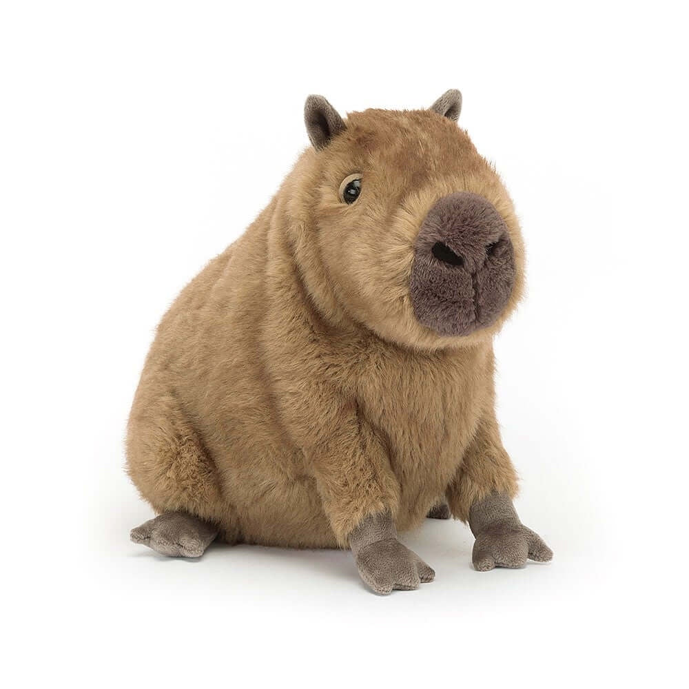 Buy Jellycat Clyde Capybara soft toy in Southend at Under the Sun shop
