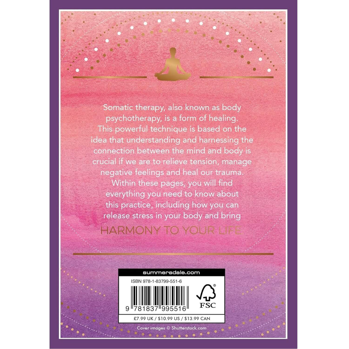 Little Book Of Somatic Healing